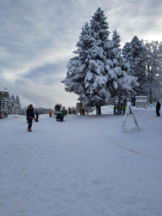 Luxury Apartments Prezin Hocko Pohorje Bagian luar foto
